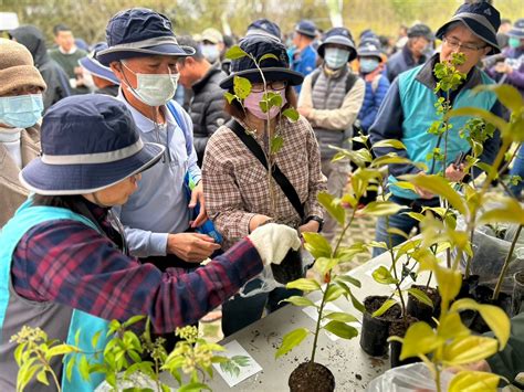 種樹間距|臺灣原生樹木推廣及媒合平臺